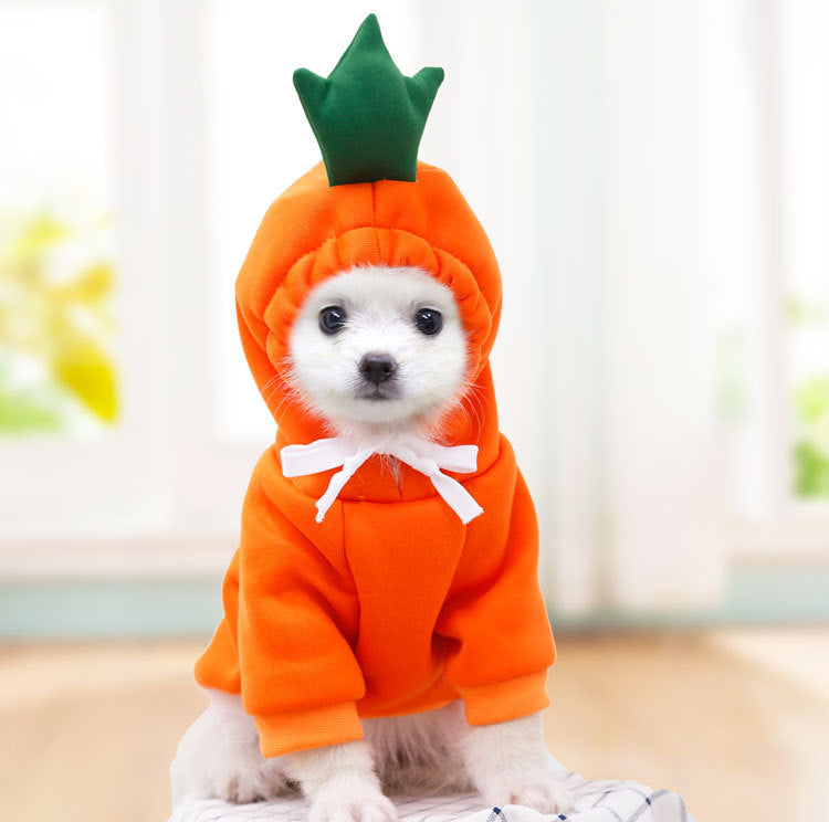 Cute Fruit Dog Hoodie - Image 9