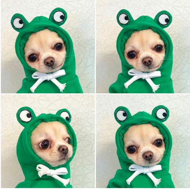 Cute Fruit Dog Hoodie - Image 10