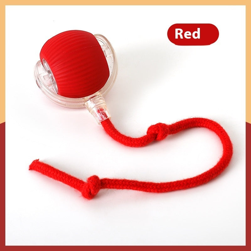 Interactive Cat Toy Ball Super Drive - Image 7