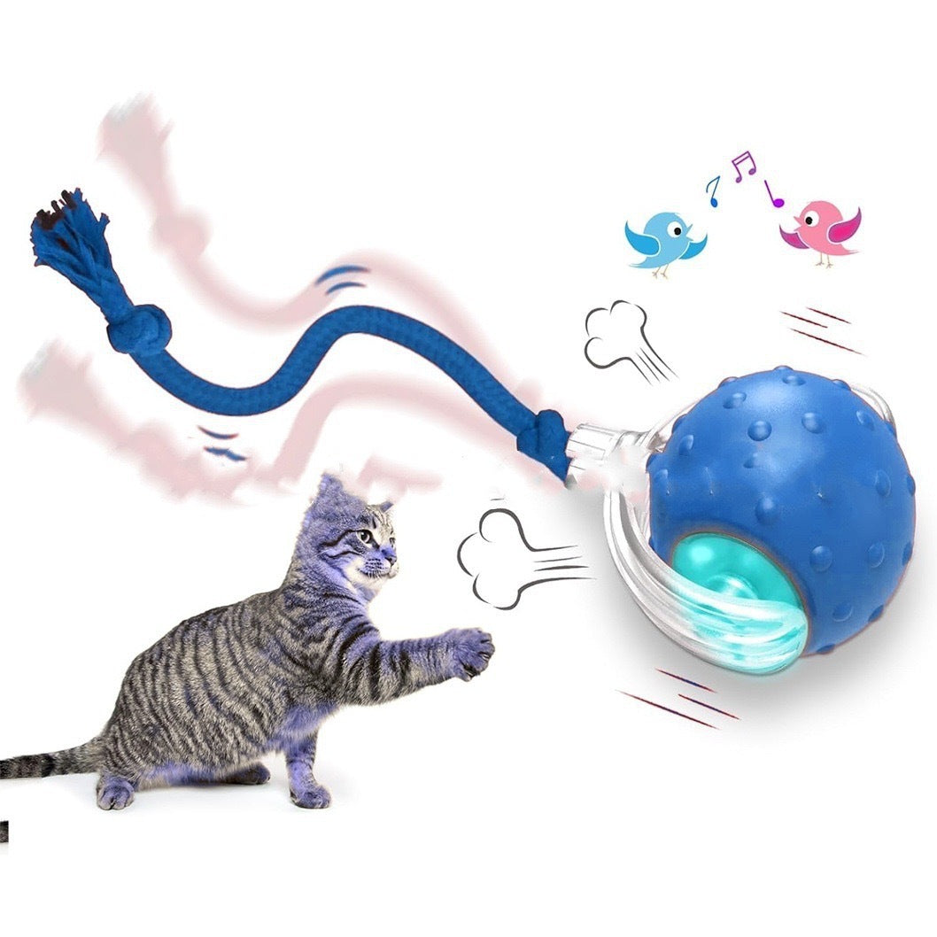 Interactive Cat Toy Ball Super Drive - Image 14