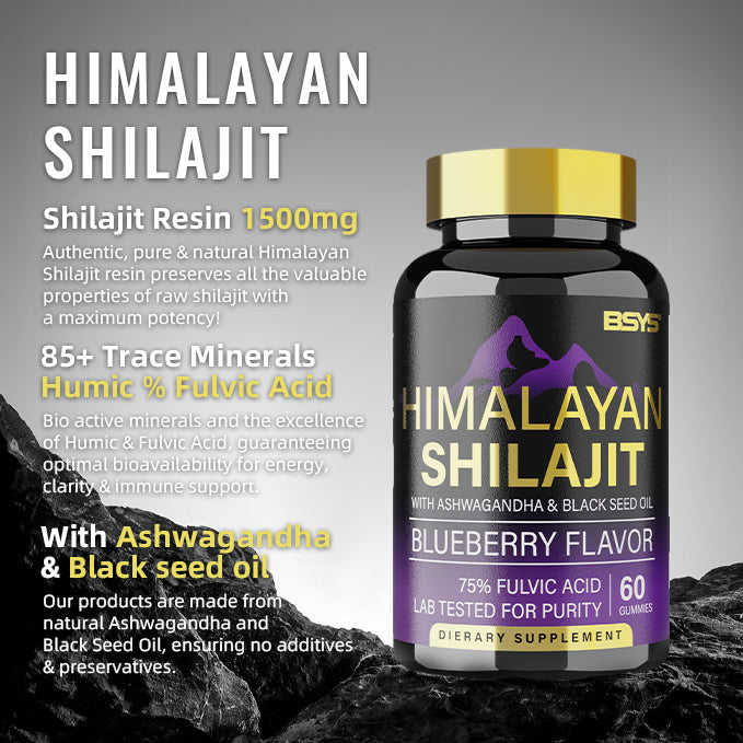 BSYS Shilajit Supplement – 60 Gummies Pack - Image 2