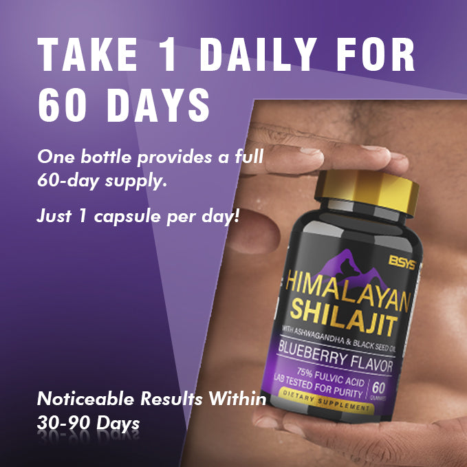 BSYS Shilajit Supplement – 60 Gummies Pack - Image 6