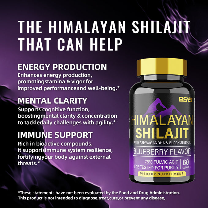 BSYS Shilajit Supplement – 60 Gummies Pack - Image 7
