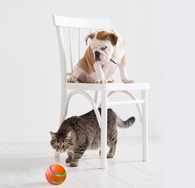 Smart Interactive Cat Ball - Image 4