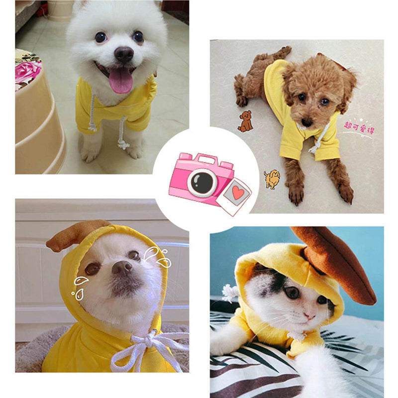 Cute Fruit Dog Hoodie - Image 5