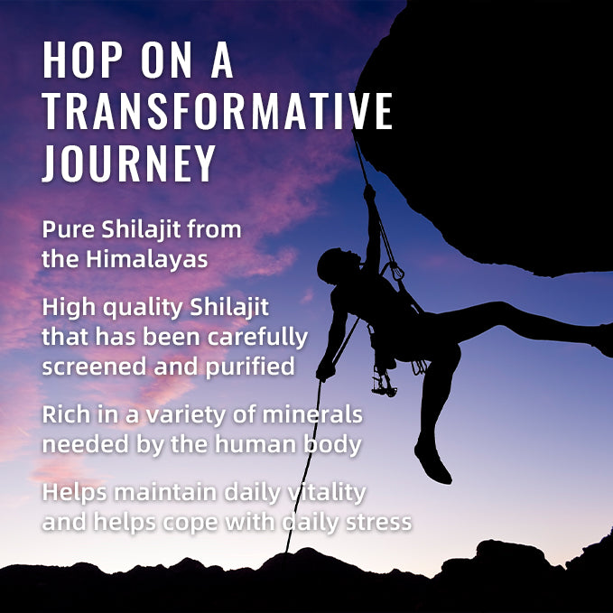BSYS Shilajit Supplement – 60 Gummies Pack - Image 5