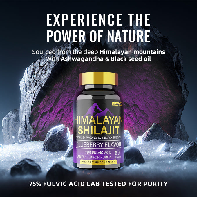BSYS Shilajit Supplement – 60 Gummies Pack - Image 4