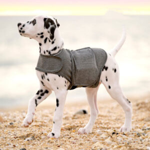 Dog Anxiety Jacket